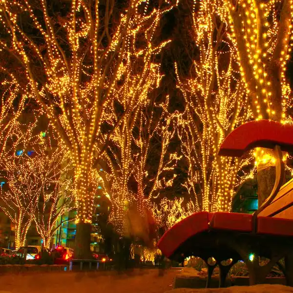 How much is Night of Lights St Augustine? festival of lights