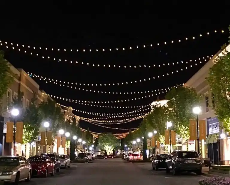 Festival of Lights Atlanta The guide to the spectacular festival