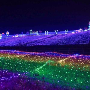 Paso Robles Lights - Light at Sensorio Highlights Plan Your Visit >>