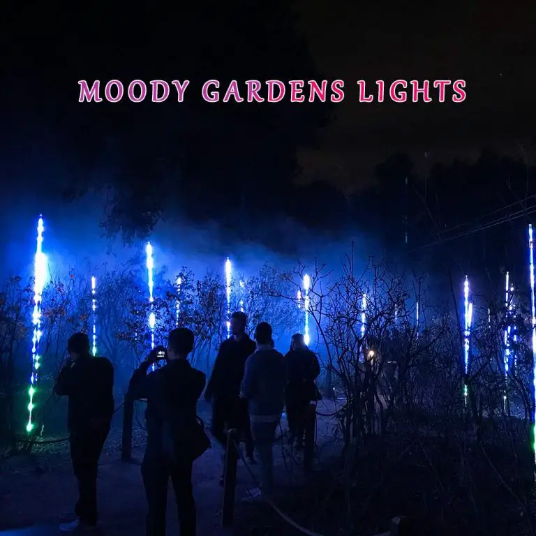 Moody Gardens Lights Dates directions Tickets
