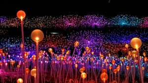 Paso Robles Lights - Light at Sensorio Highlights Plan Your Visit >>