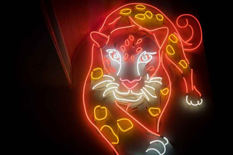 Festival of Lights Boston (Boston Lights) Franklin Park Zoo Lights