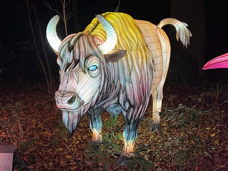 Zoo Lights When Where Tickets Costs Festival Of Lights