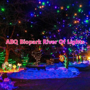 Tianyu Lights Festival – Dates, Tickets, and Sights to See - Festival