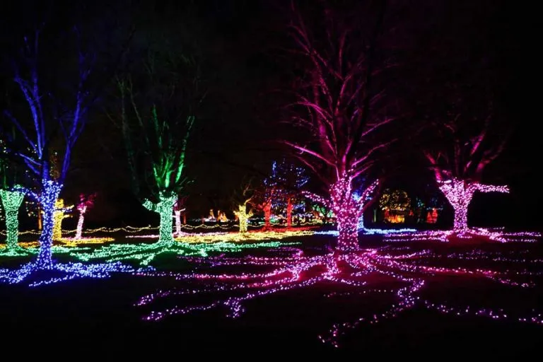 Akron Zoo Lights Festival Of Lights