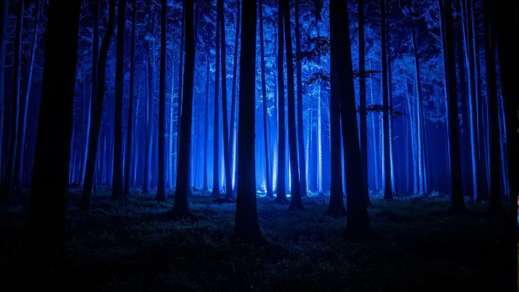 Alluminous Light Art Festival