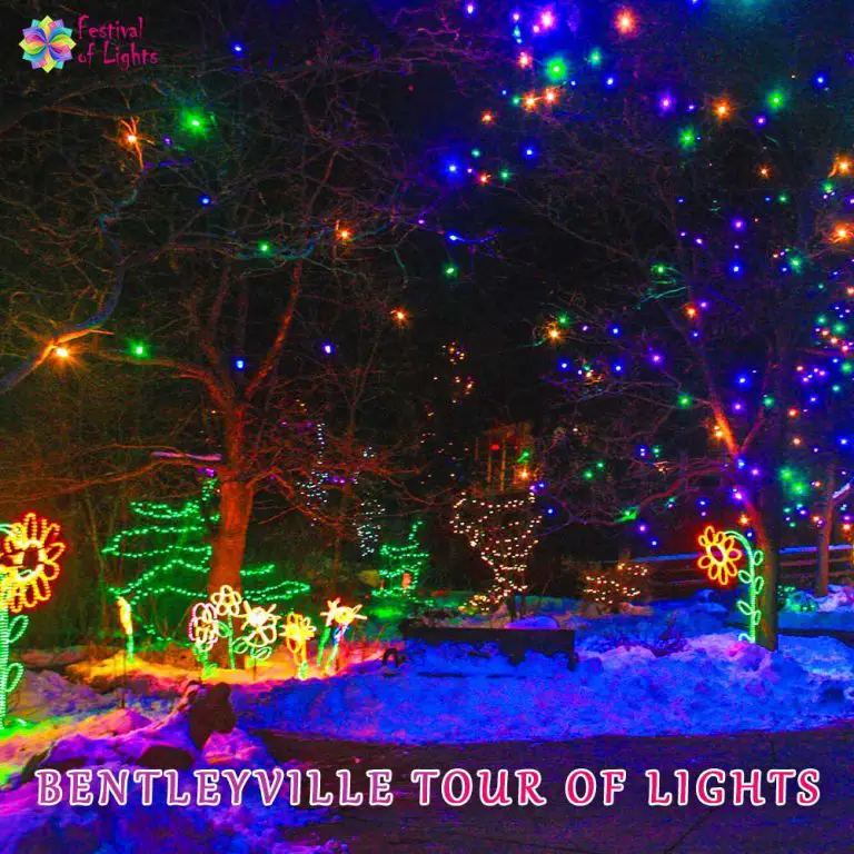 Zoo lights portland festival of lights when where tickets cost