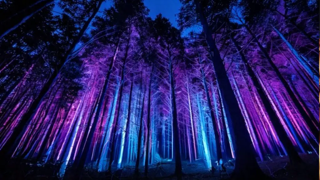 Blockheide Leuchtet Light Festival Austria