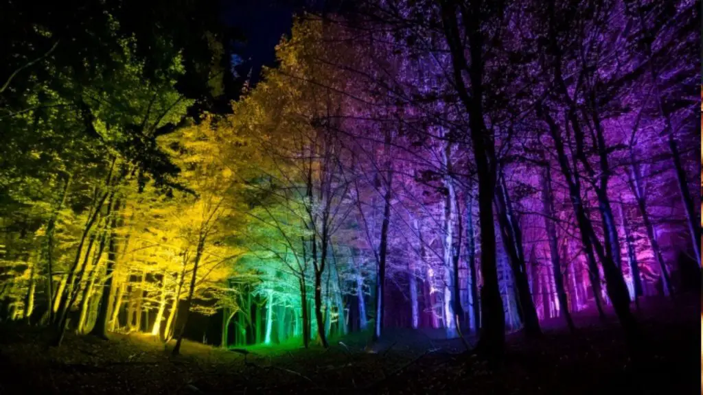 Blockheide Leuchtet Light Festival Austria