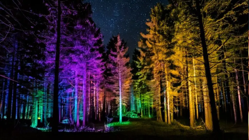 Blockheide Leuchtet Light Festival Austria