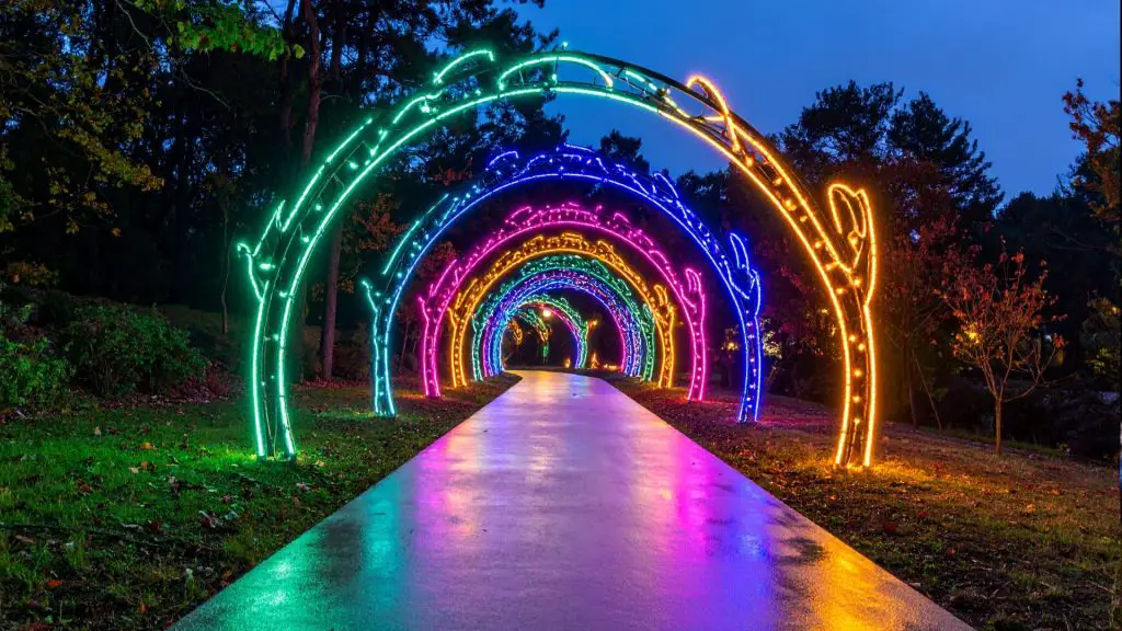 Bright Nights at Forest Park