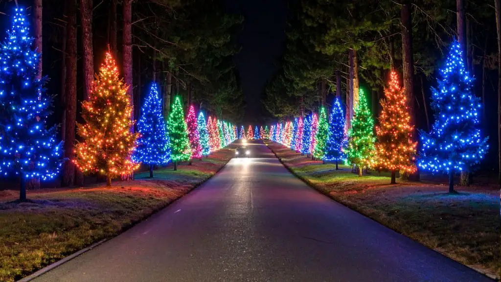 Bright Nights at Forest Park