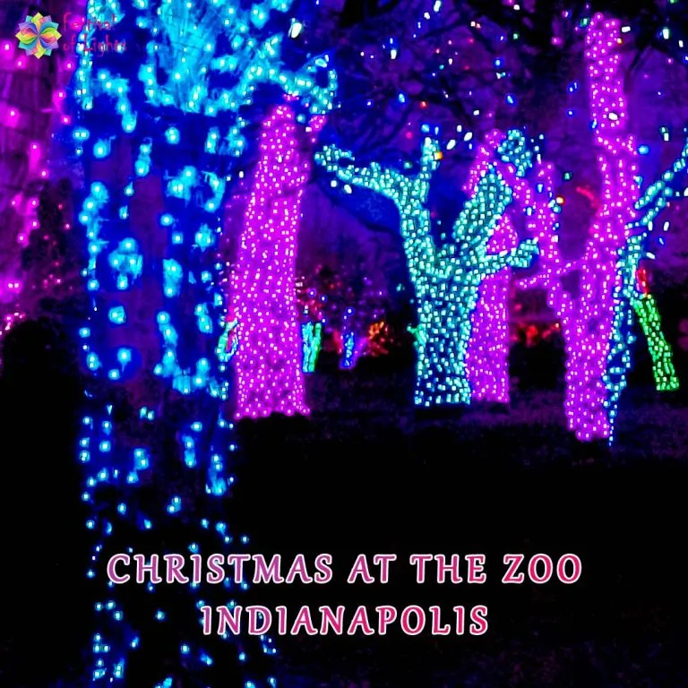 Zoo Lights When Where Tickets Costs Festival Of Lights