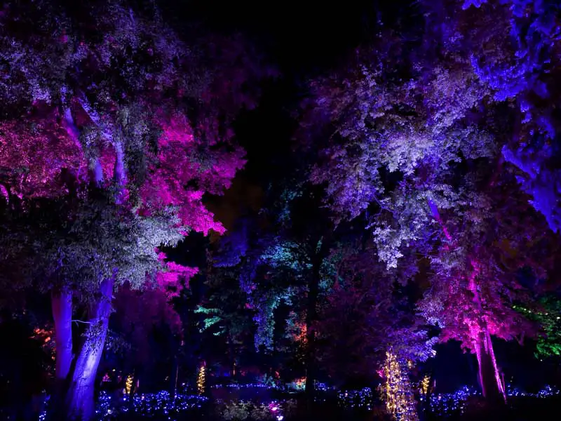 Enchanted Christmas at Westonbirt