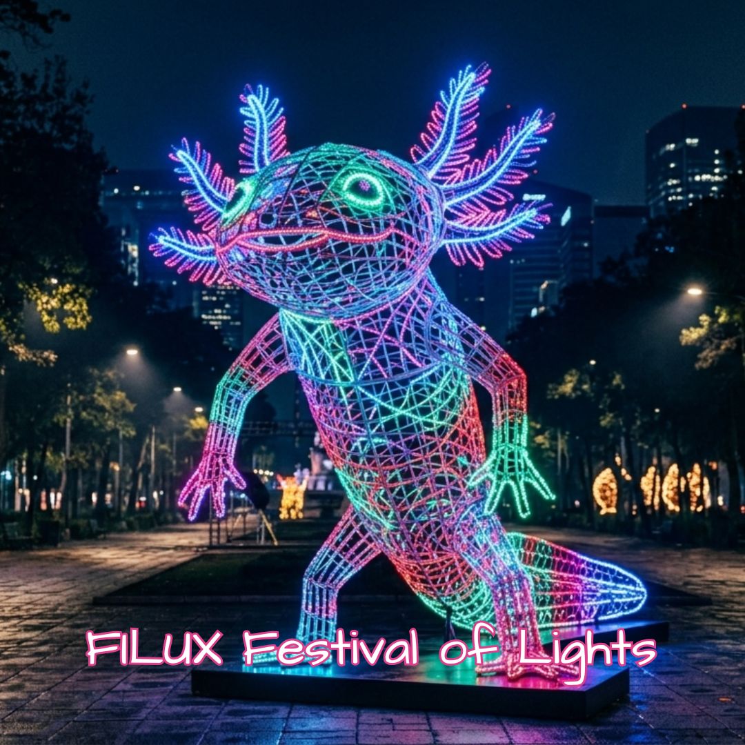 FILUX Festival of Lights