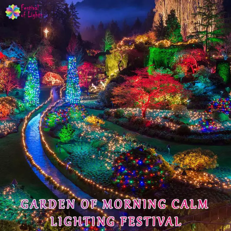 Morning Rimliting Garden of Morning Calm Lighting Festival - A Wonderland of Lights