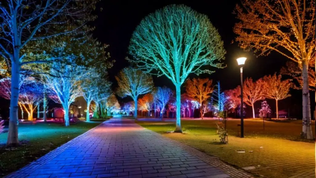 Light Night Wigan