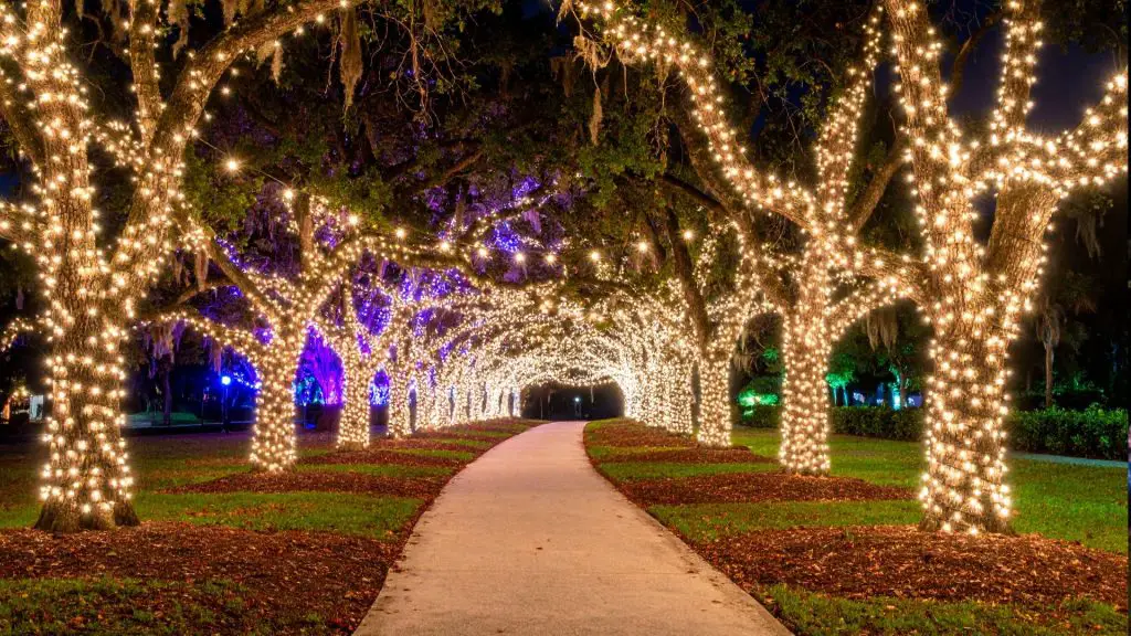 Light Up BSP