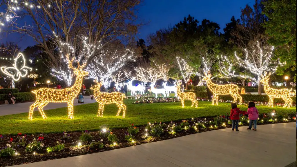 Light Up BSP