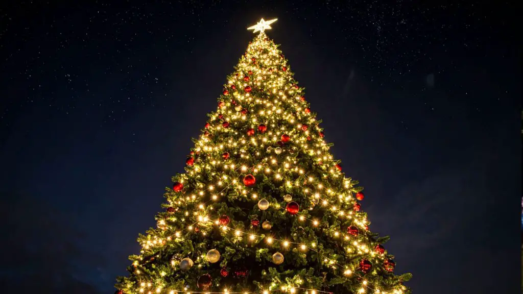 Light Up Night
