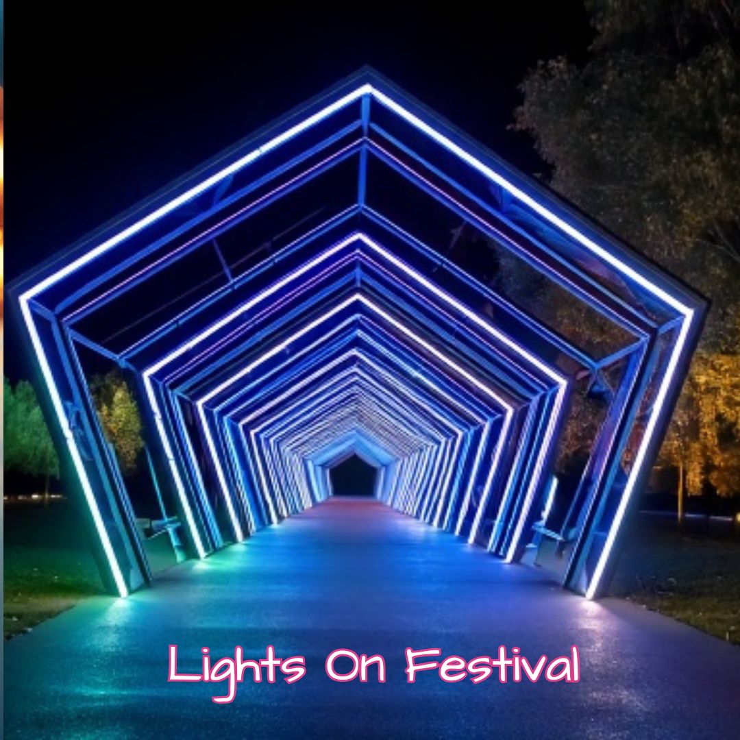 Seoul Lantern Festival - A Lighting Event You Must See - Festival Of Lights