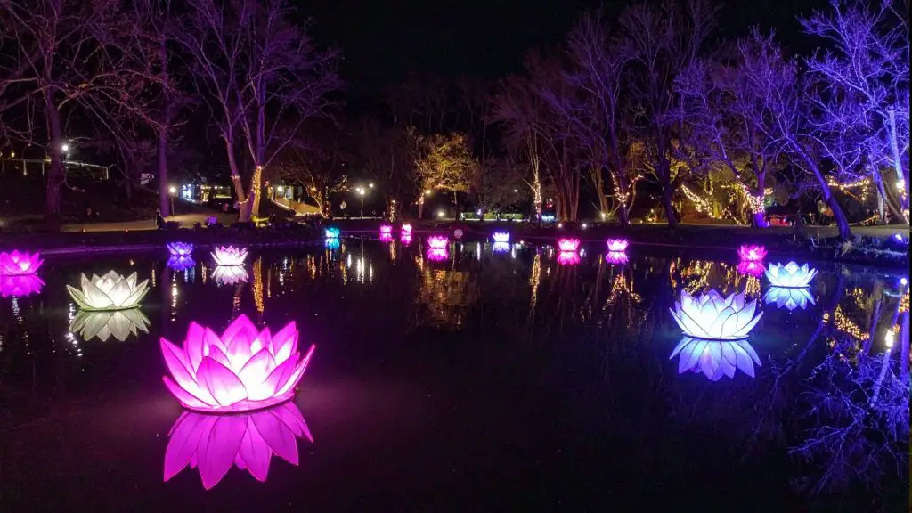 Lights at Lafarge