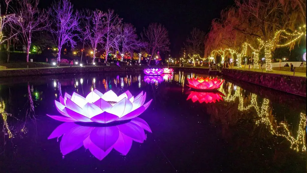 Lights at Lafarge