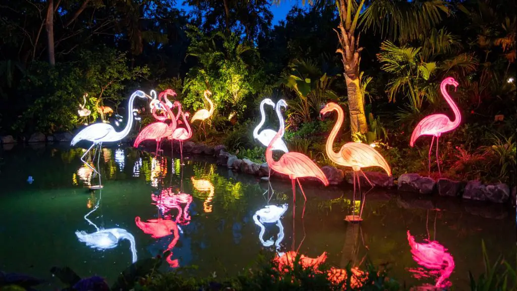 Lights in Bloom