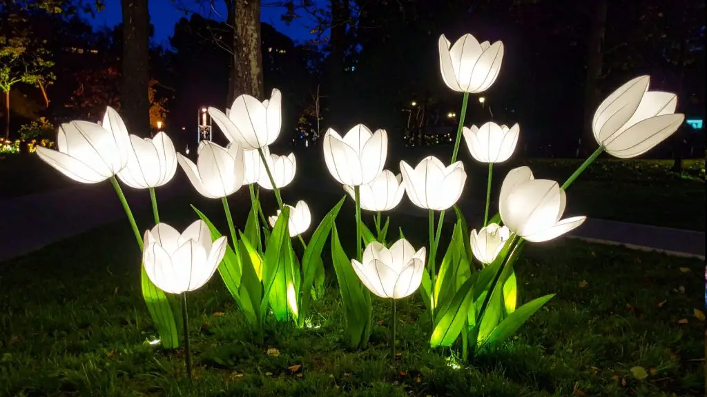 Lights on Stratford Canada