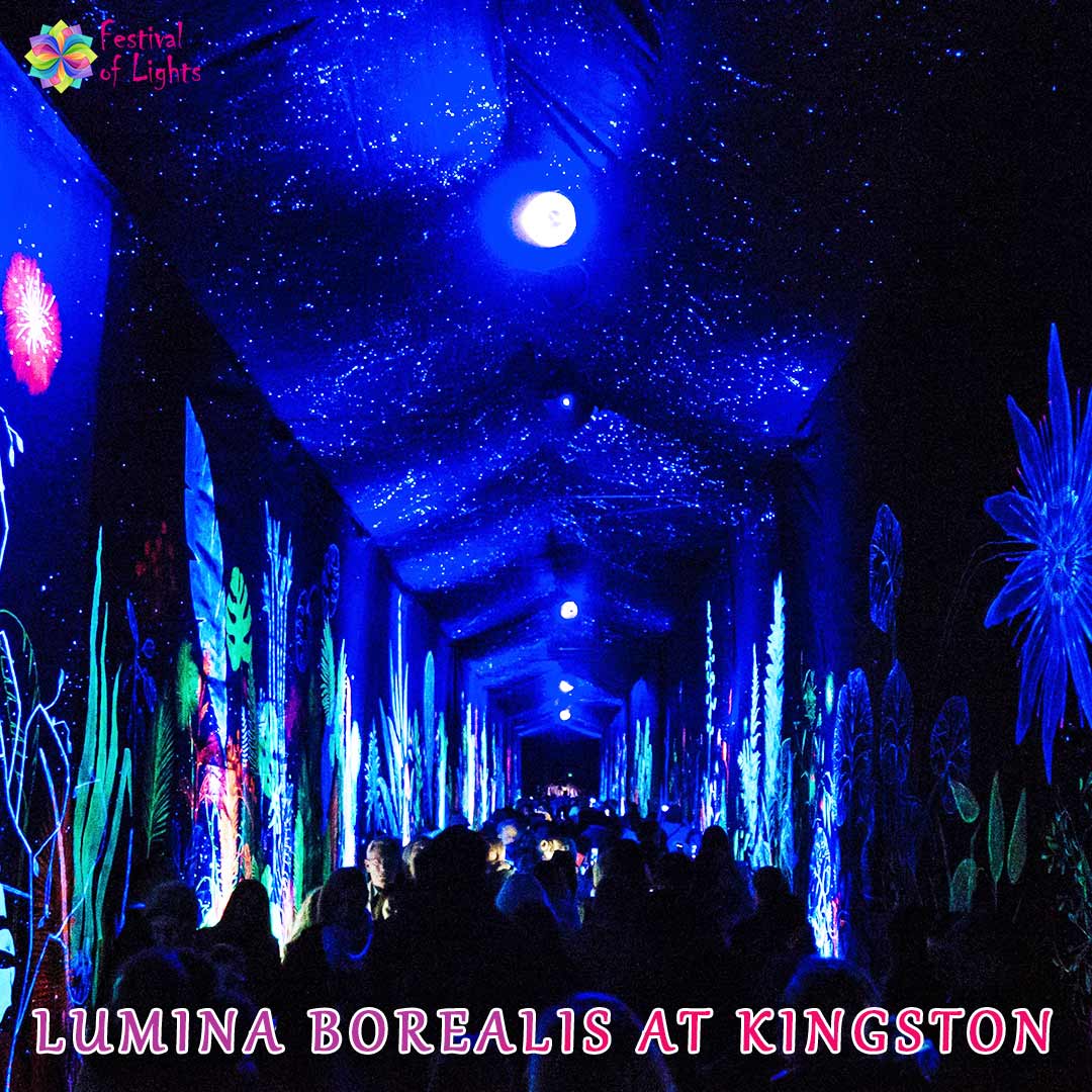 Lumina Borealis at Kingston