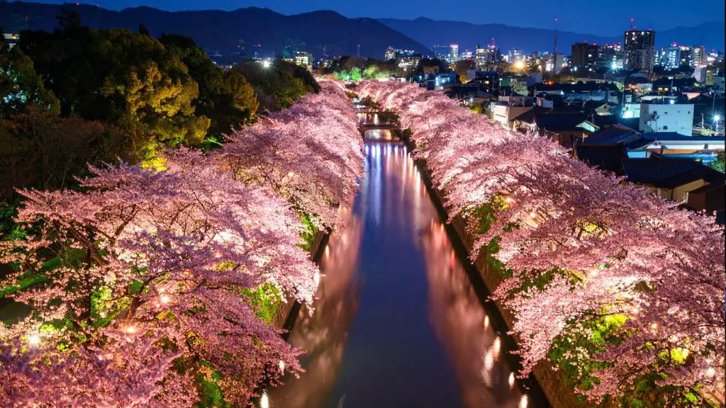 Meguro River Minna no Illumination