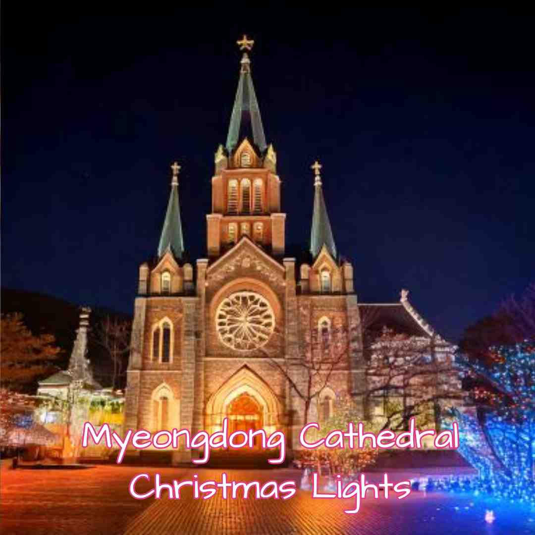 Myeongdong Cathedral Christmas main