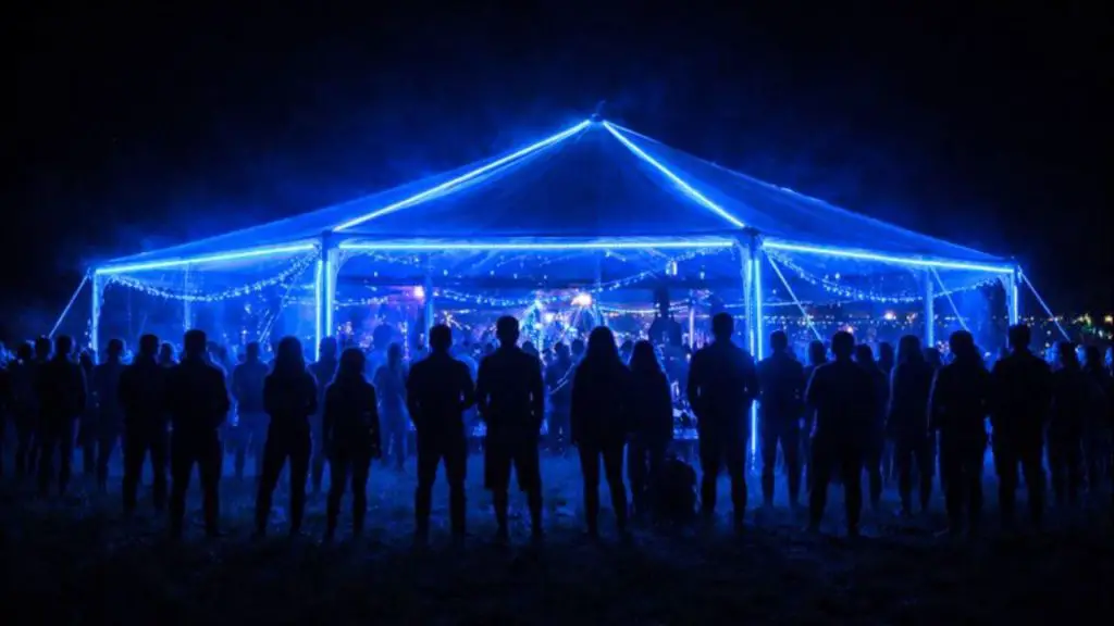 NECTR (Ember Art Festival)