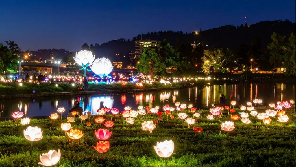 Napa Lighted Art Festival