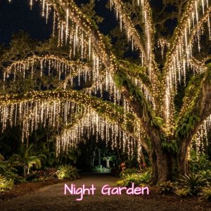 Night Garden