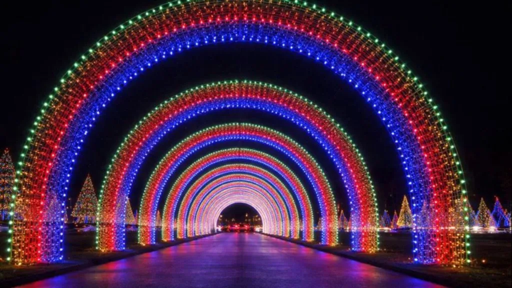 Nite Lites