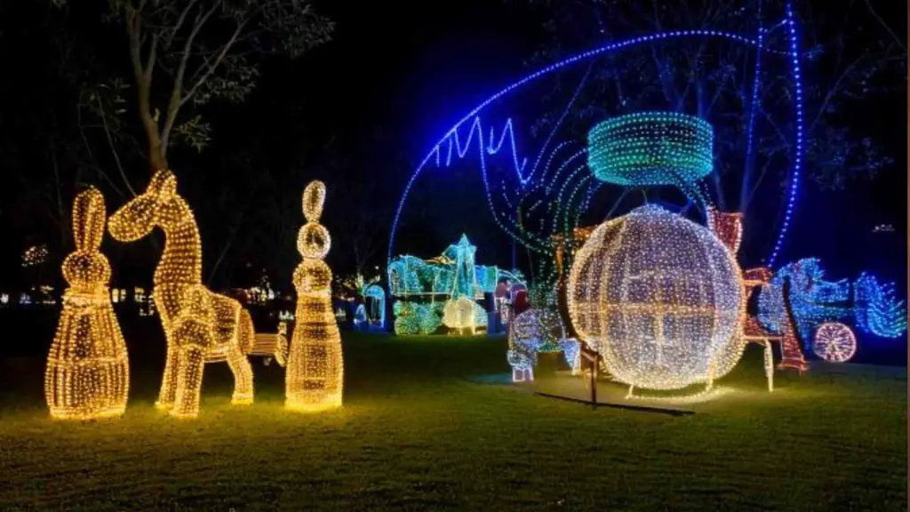 Nuvali lights 2