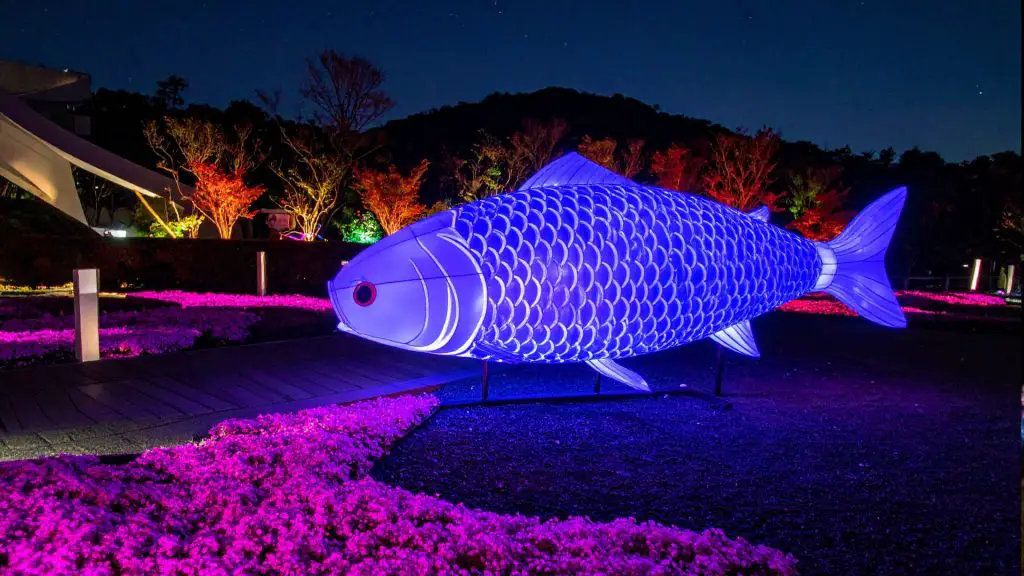 Ocean International Lantern Festival