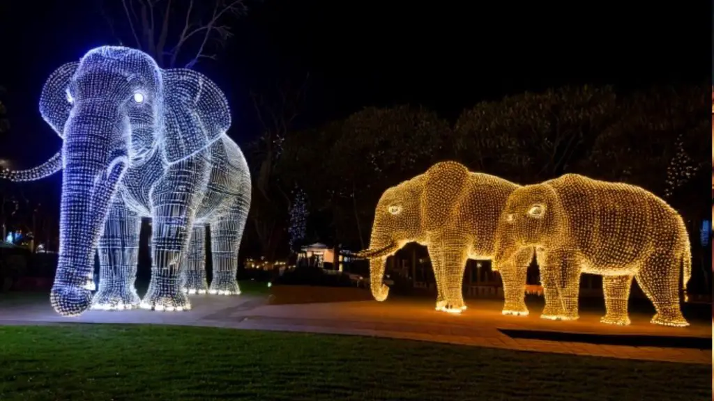 Pairi Daiza zoo lights
