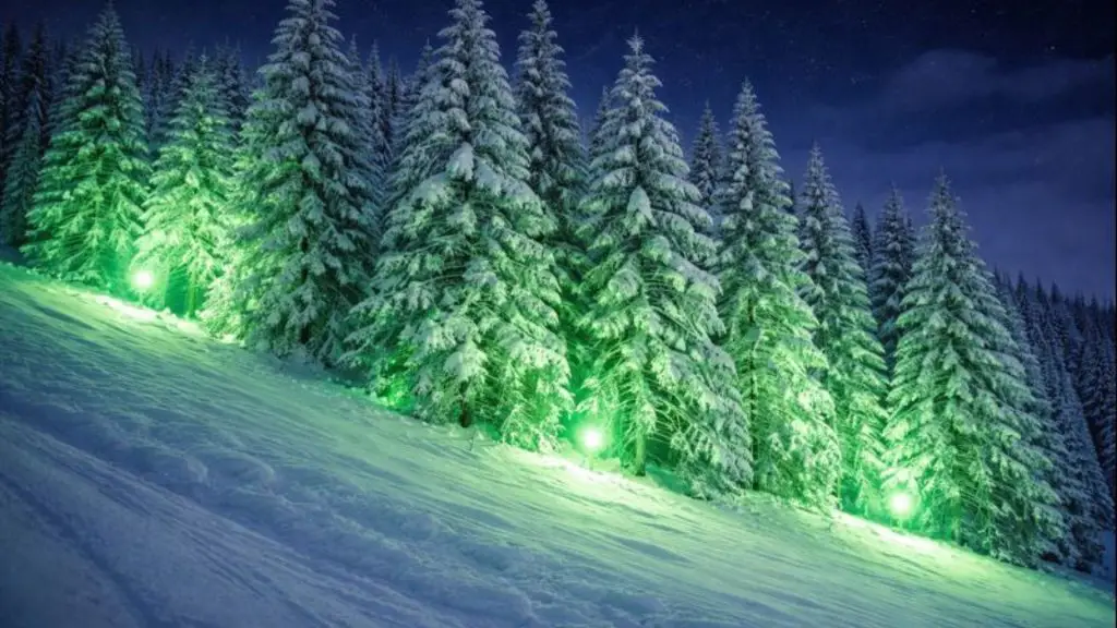 Polar Night Light Festival