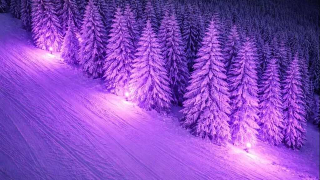 Polar Night Light Festival