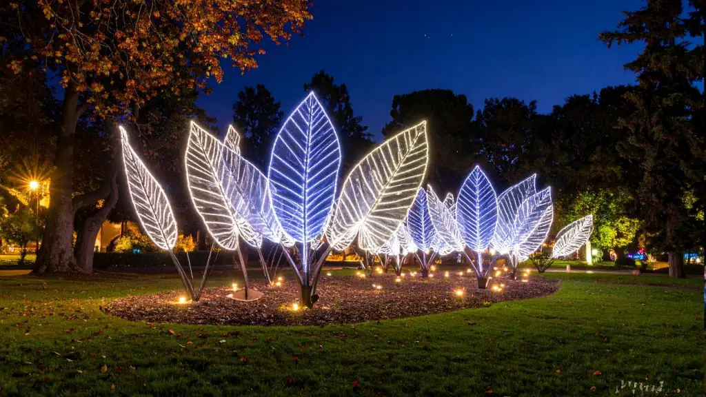 Redmond Lights