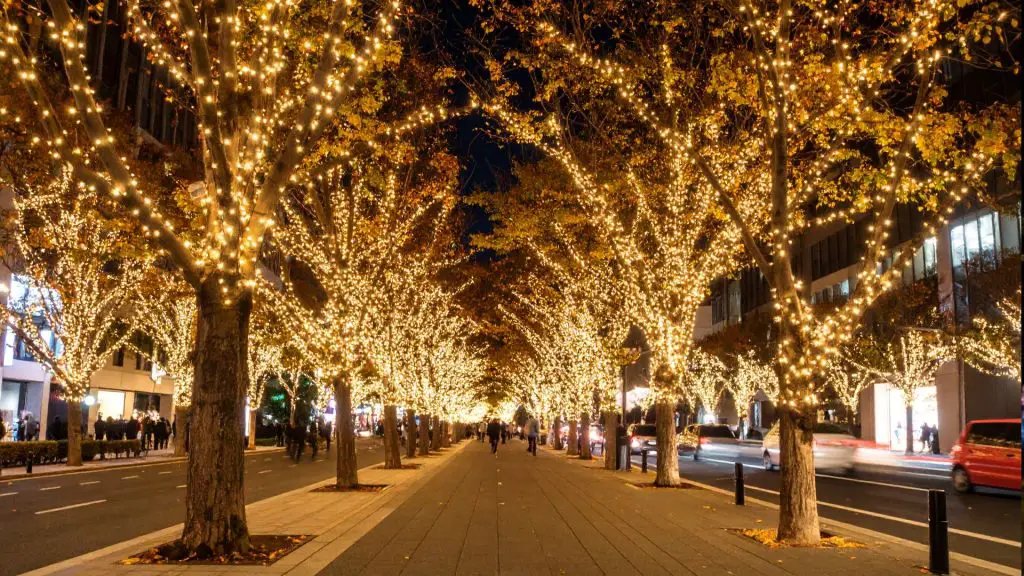 Redmond Lights