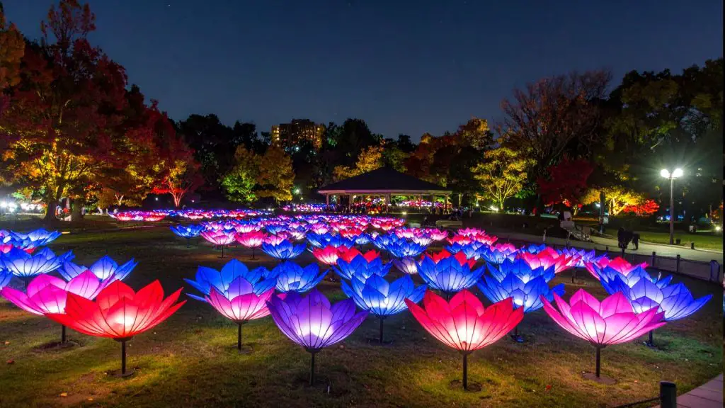 Redmond Lights