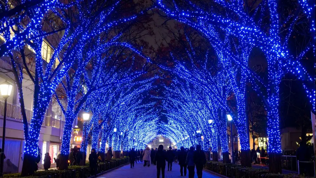 Shibuya Blue Cave Illumination