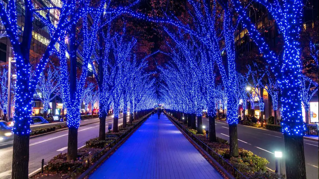 Shibuya Blue Cave Illumination