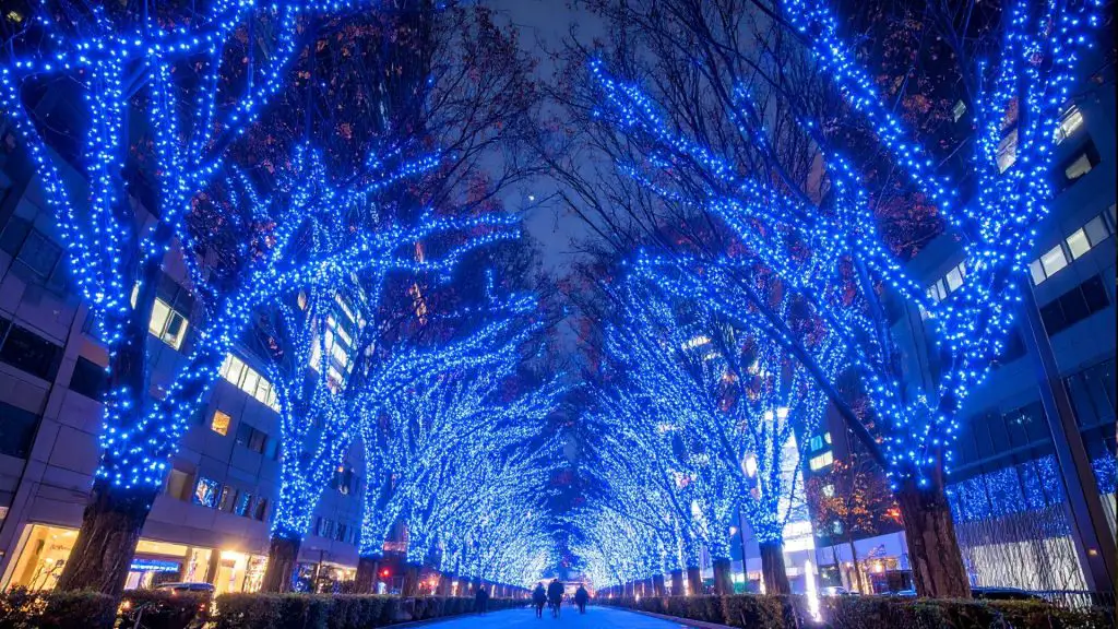 Shibuya Blue Cave Illumination