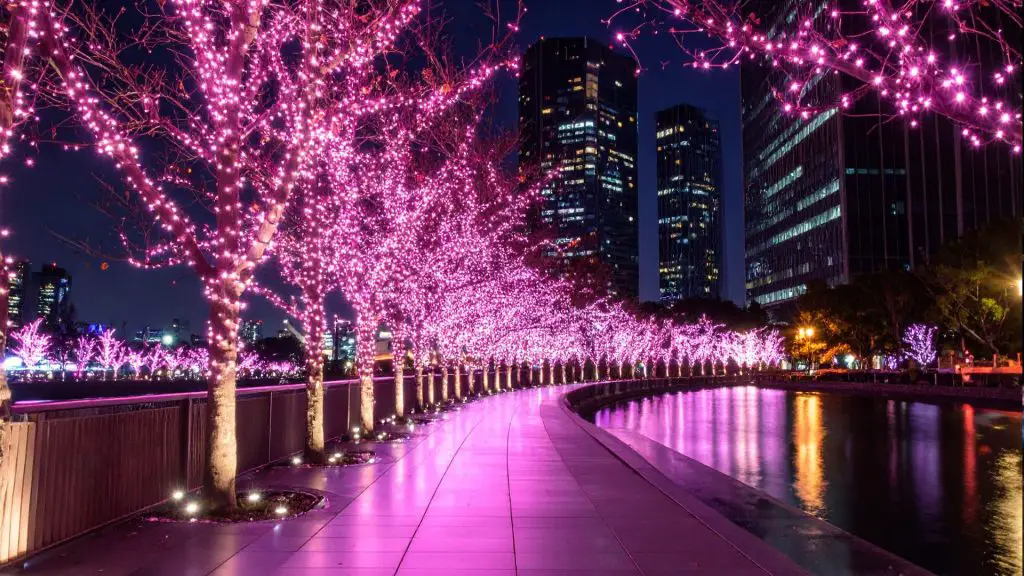 Shinjuku Illumination