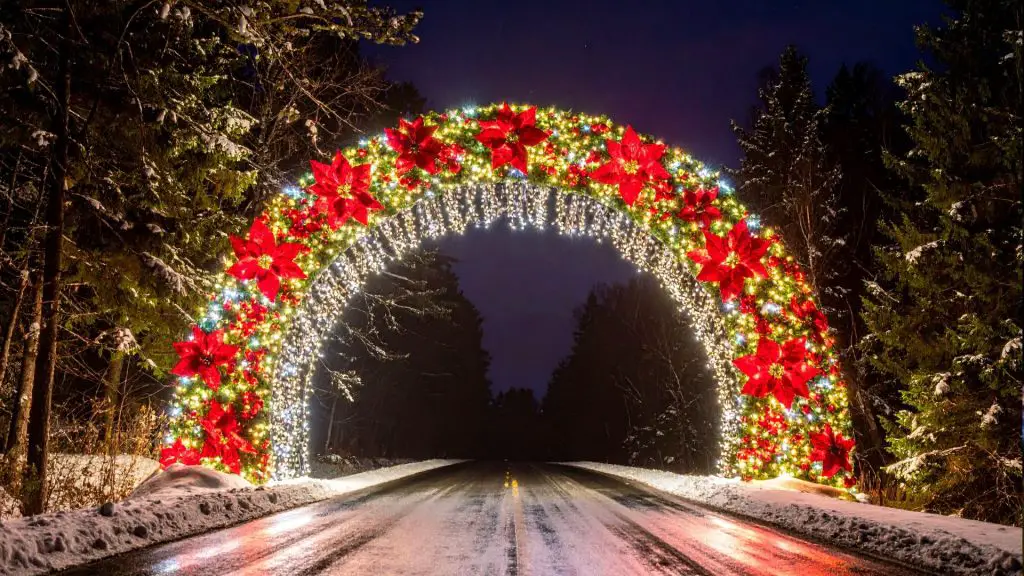 Wayne County Lightfest