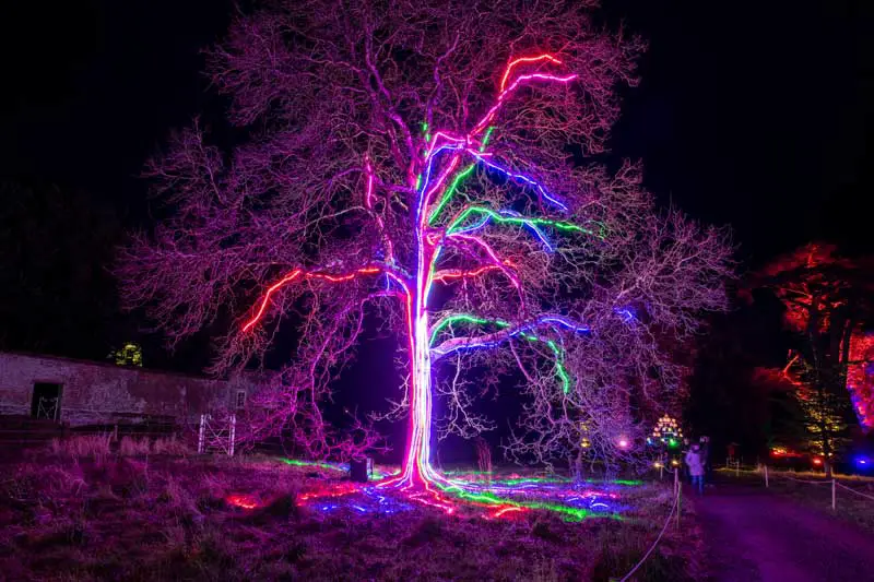 plan your visit to Windsor Great Park Illuminated